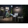 Wall Light Ultra Efficient 800 lumens 4.3 Watts Warm White
