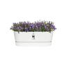 Plastic Trough with Saucer White 50cm