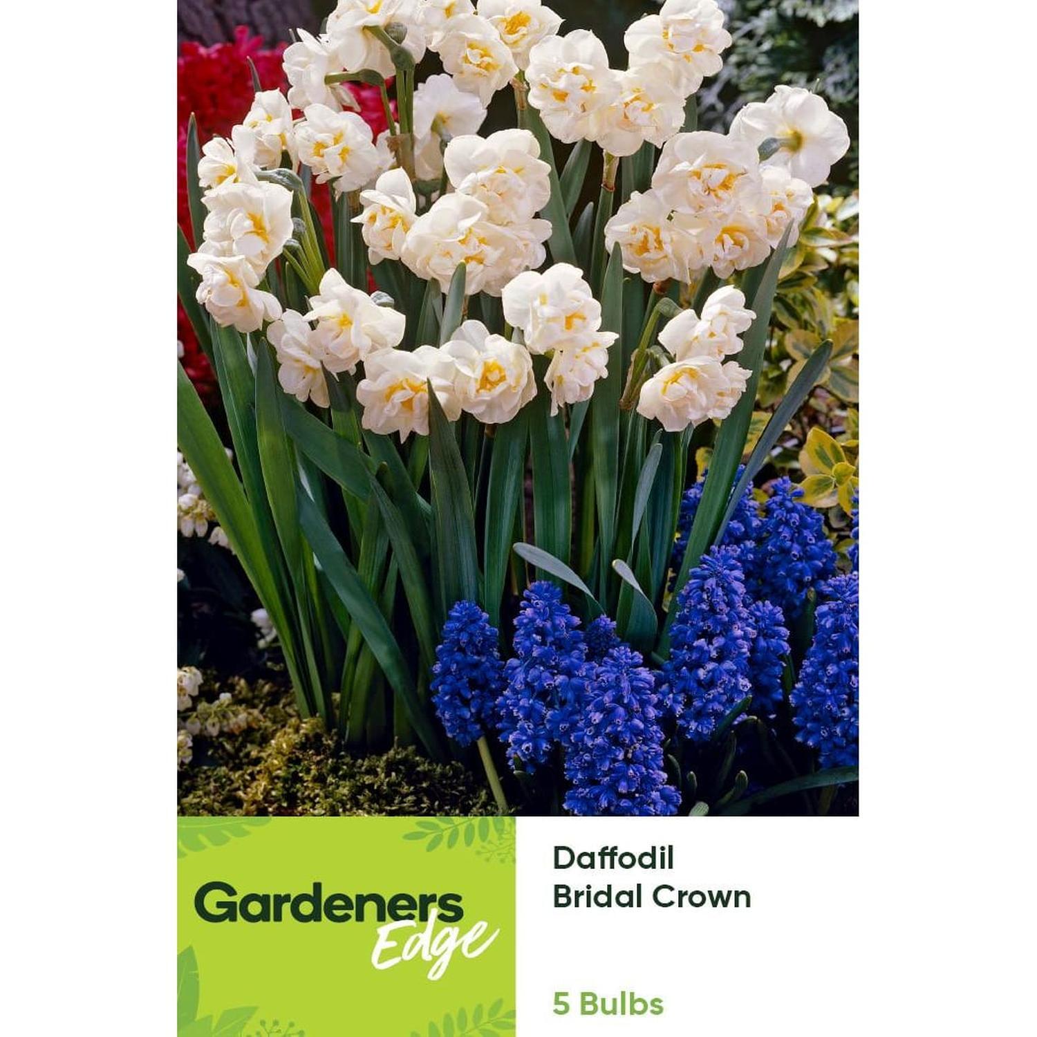 Daffodil Bridal Crown 5 pack