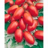 Tomato Roma Acid Free Graft  10