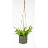 Indoor Hanging Cottage Cup Pot Dark Green 14.5cm 128 x 142 x 142mm