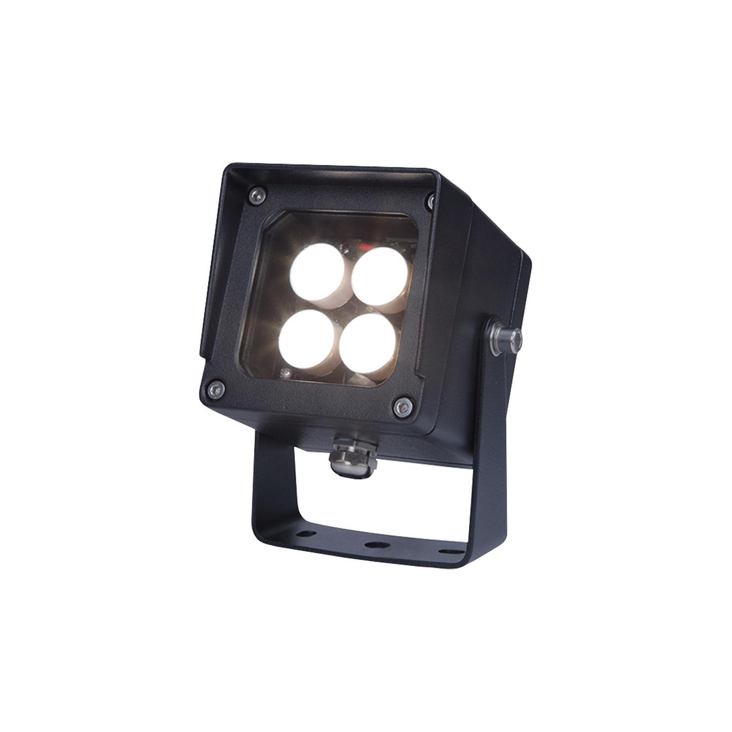 Landscape Stage Light