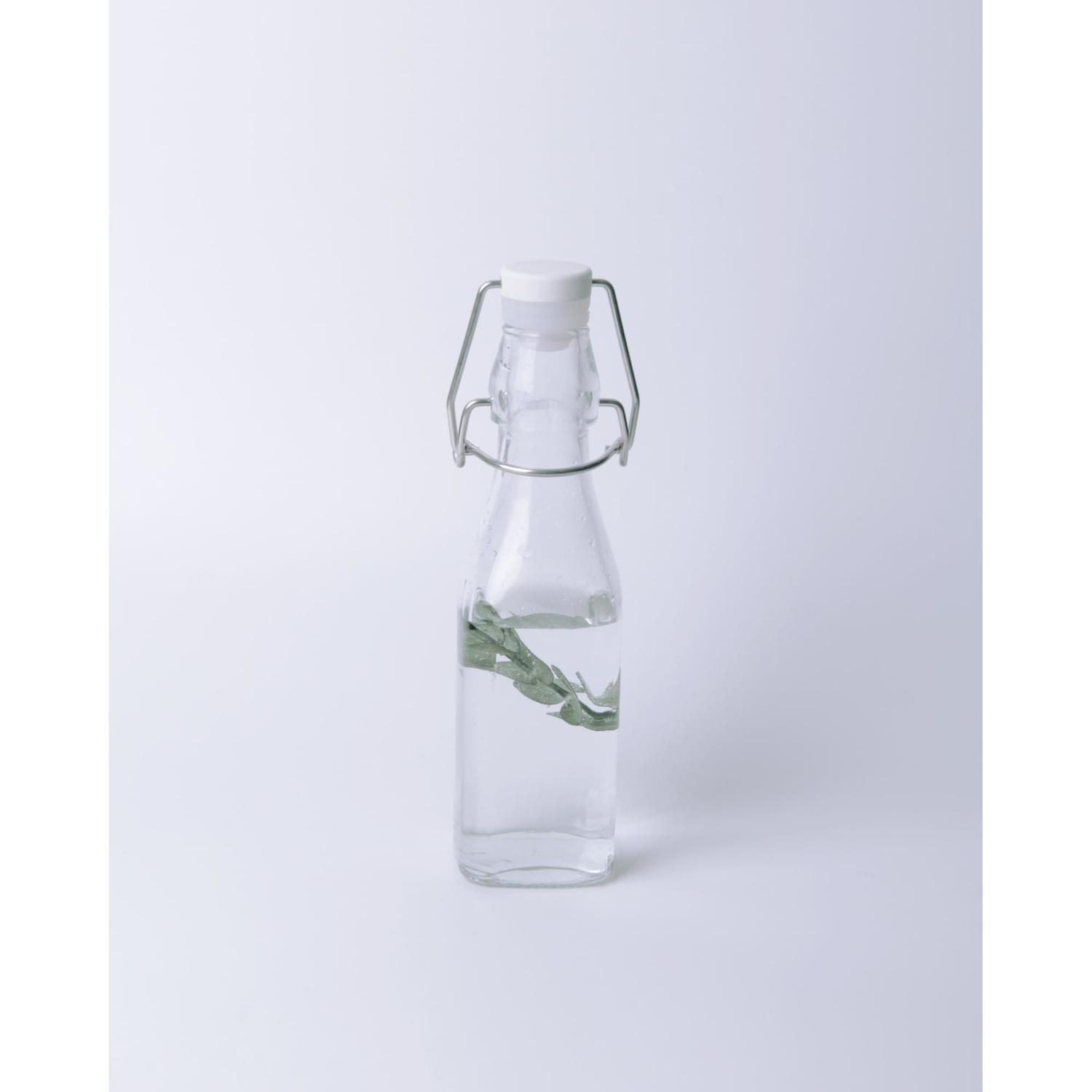 Preserving Bottle Swing Clip 250ml