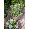 Lightweight Egg Rib Pot Terrazzo Beige S