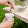 Cup