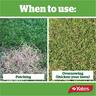 Yates Lawn Seed Kikuyu 1kg