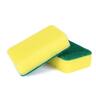Sponge Scourer 2 PK