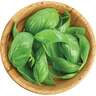 Basil Sweet Green