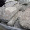 Alpine Schist Steppers