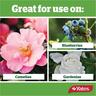 Camellia, Gardenia & Blueberry Fertiliser Granules