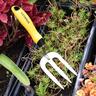 Stainless Steel Hand Fork