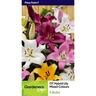 Lilly Ot Hybrid Mix 5 Pack Pack of 5 Mixed Colours