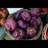 Capsicum Tequila Purple