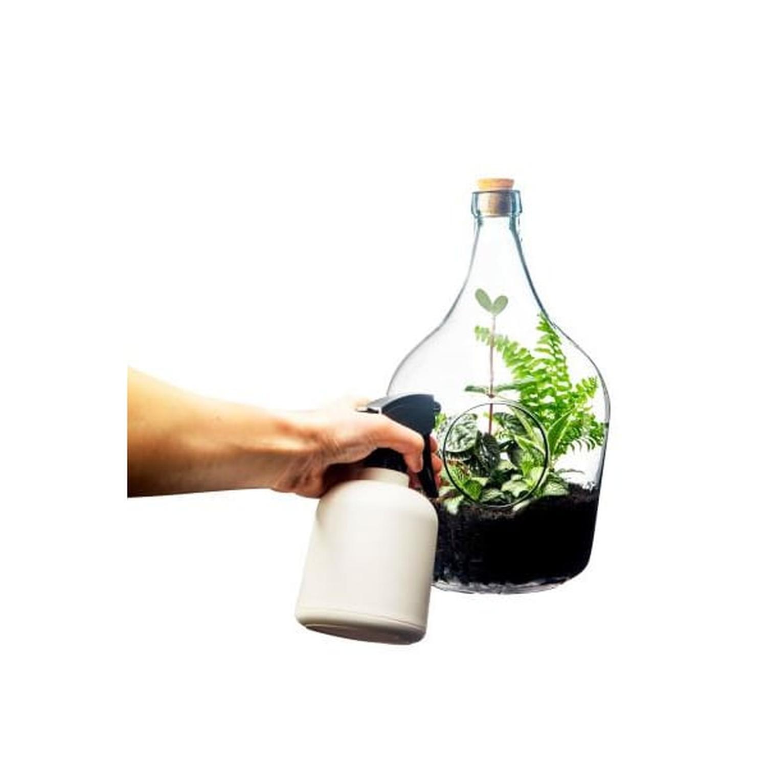 TERRARIUM GLASS BOTTLE
