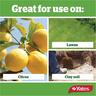 Natural Dolomite Lime Fertiliser