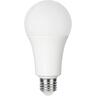 LED E27 Light Bulb 17 Watts Warm White