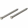 Concrete Nail 50mm Grey