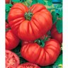 Grafted Tomato Beefsteak