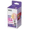 Smart Bulb Clear 470 Lumens A60 E27 Filament 6.3 Watt RGB