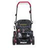 Black Viper 150 CC 45 AL Petrol Lawnmower