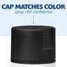 Spray Paint Semi-Gloss Black