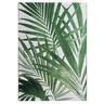 Tropics Outdoor Rug W: 2000mm, L: 2900mm Palm