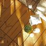 Thermowood Decking Tile Natural 600x600mm