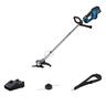 Blue Professional Line Trimmer and Brushcutter Kit 18 Volt