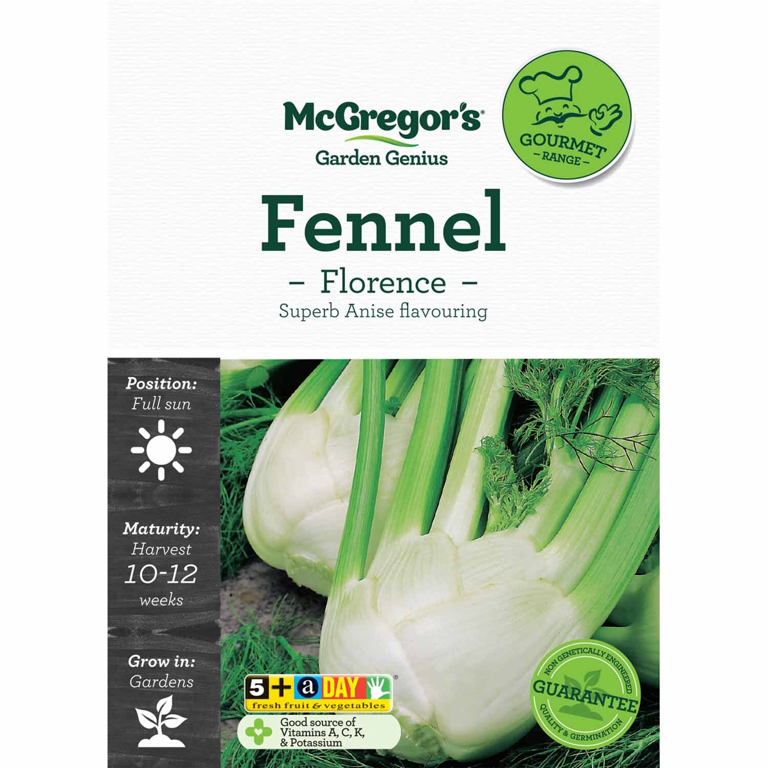 Fennel Seeds