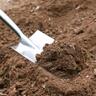Stainless Steel D-Handle Digging Spade