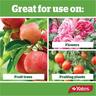 Natural Organic Sulphate Of Potash Fertiliser
