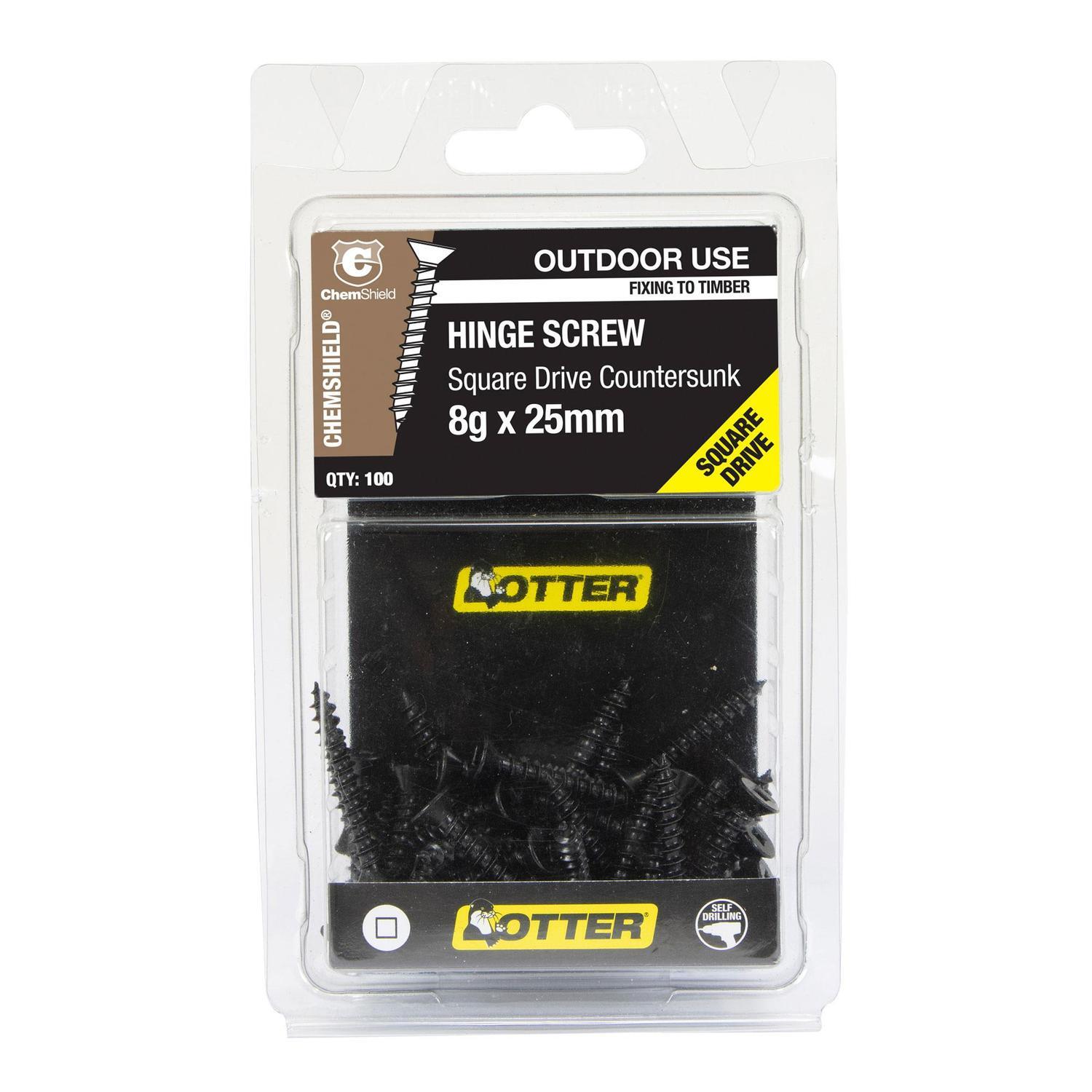 Hinge Screws