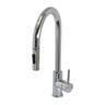 Selina Sink Mixer with Spray Mirror Like Finish