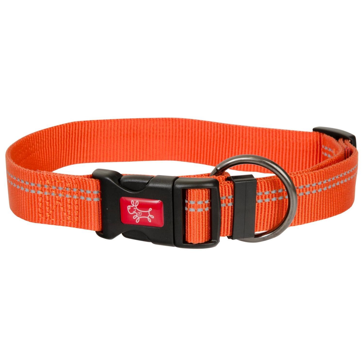Yours Droolly Dog Collar Toy  Reflective