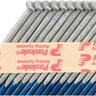 Collated Nails Handy Pack with Fuel Cell