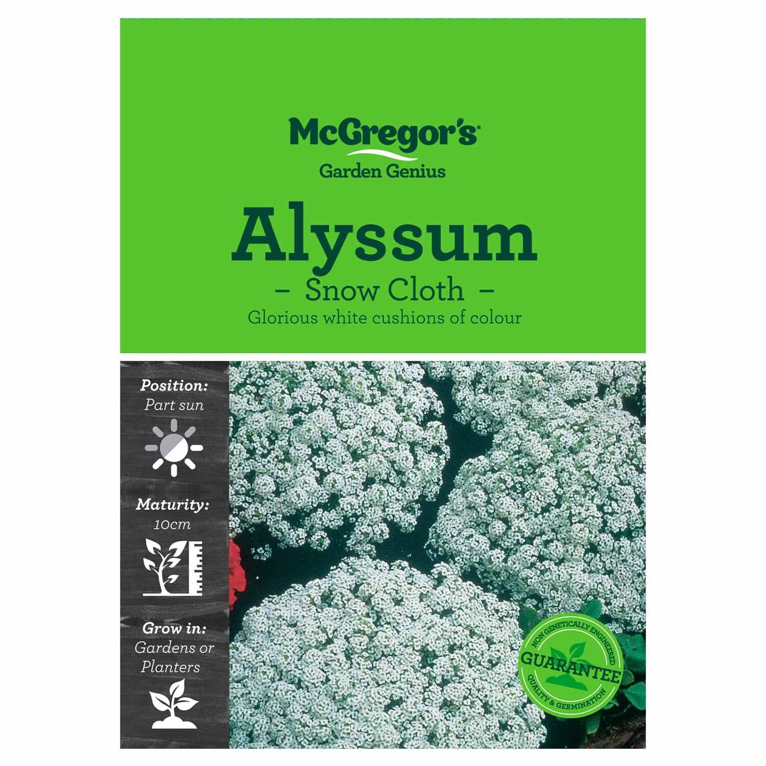 Snow Cloth Alyssum  Flower Seed