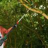 18 Volt Cordless Chainsaw Pole Tool Tree Pruner Without Battery