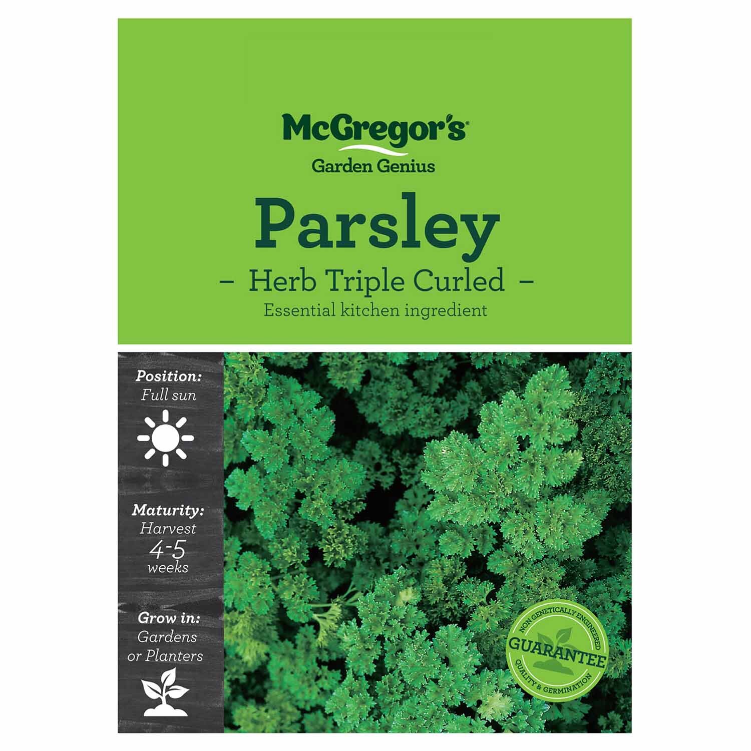 Tripled Curled Parsley  Herb Seed