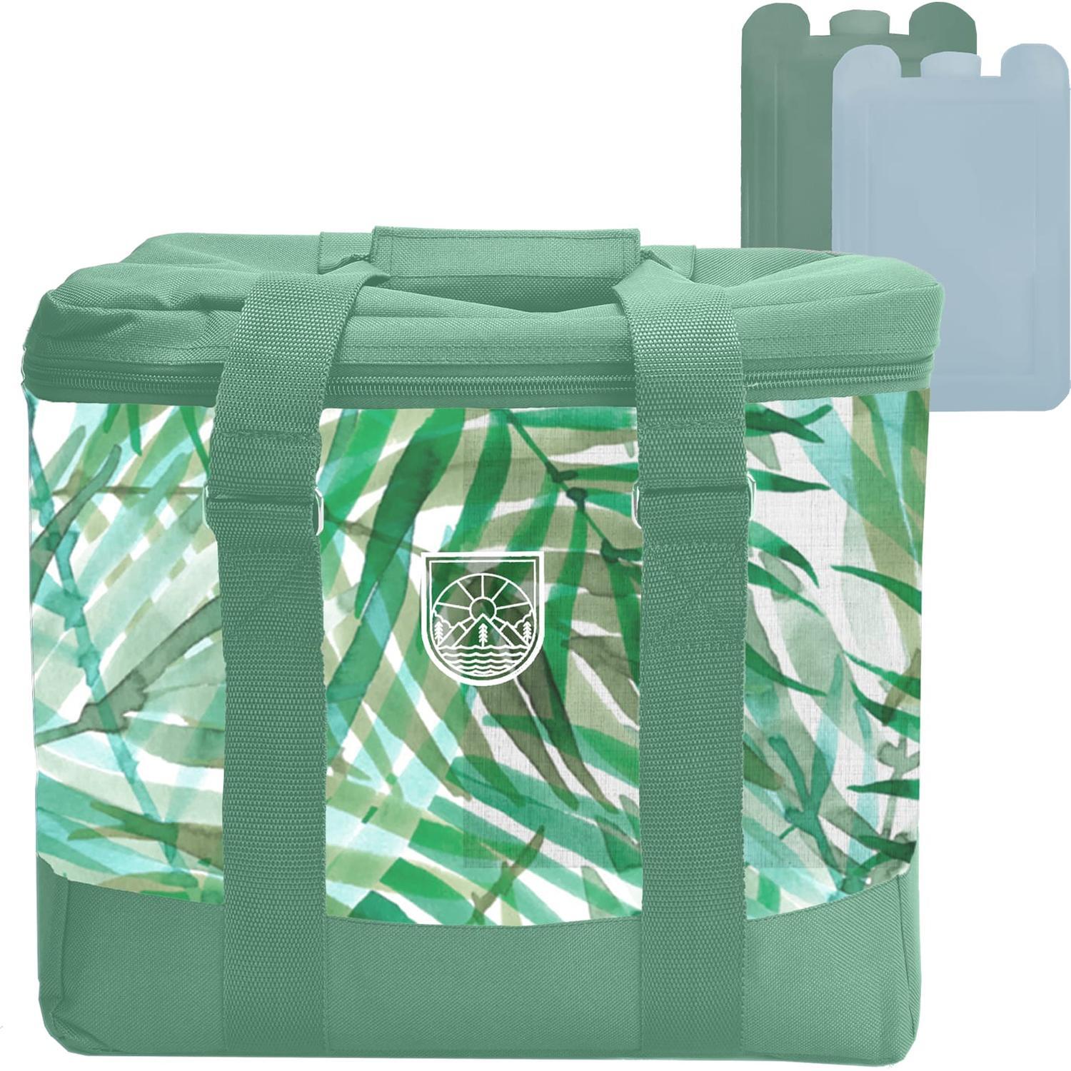 Hard Sided Cooler Bag & Ice Brick Set