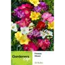 Freesia Single Mixed 20 pack