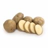 Maris Anchor Seed Potatoes