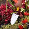 Stainless Steel Hand Trowel