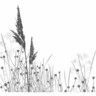 Splashback Toi Toi H: 750mm, W: 600mm Multi