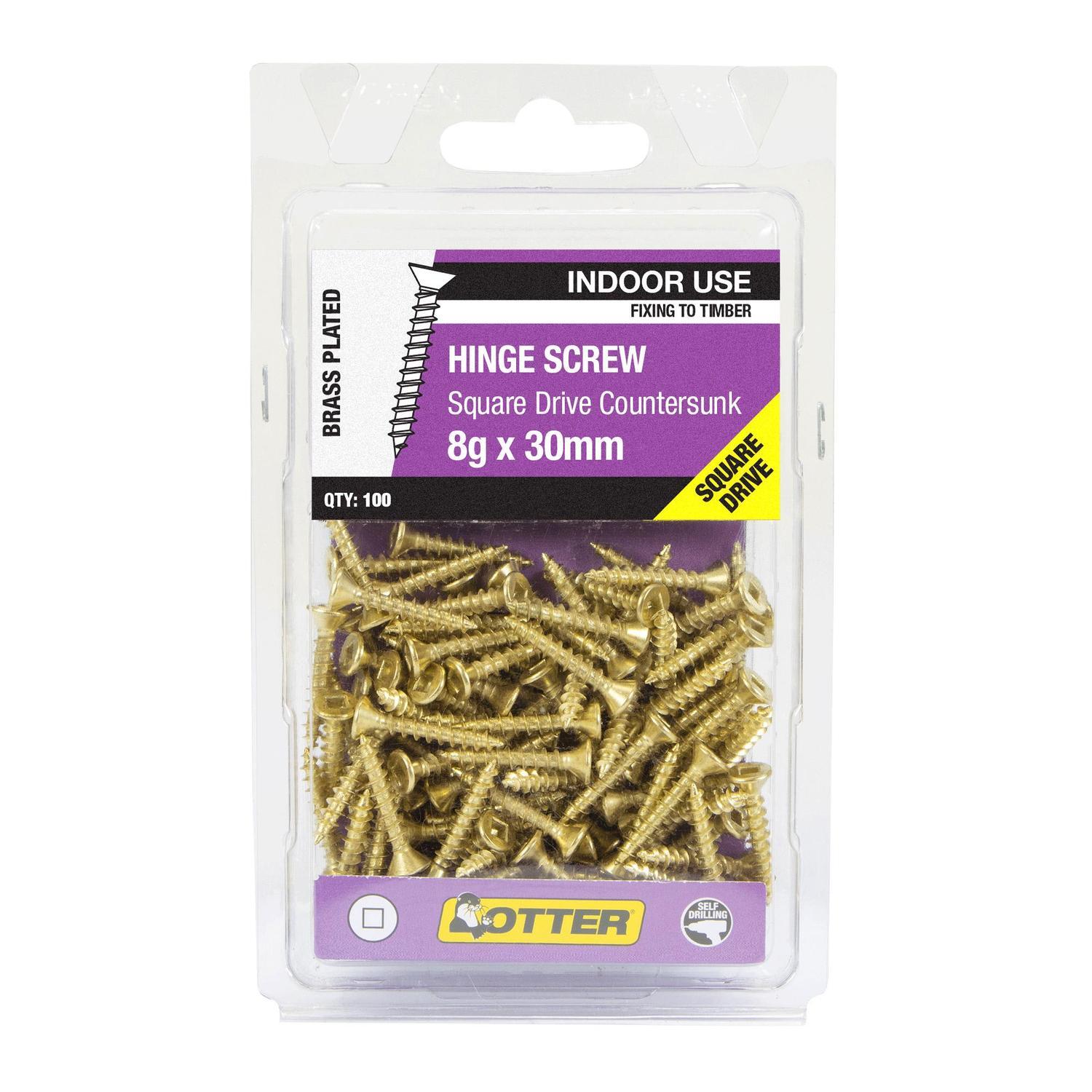 Hinge Screws