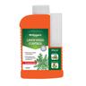 Lawn Weed Control