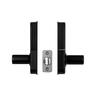 Electronic Smart Lever Handle  Black Finish