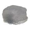 Bluestone Stepping Stone