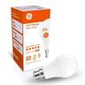 LED Classic Opal Glass GLS