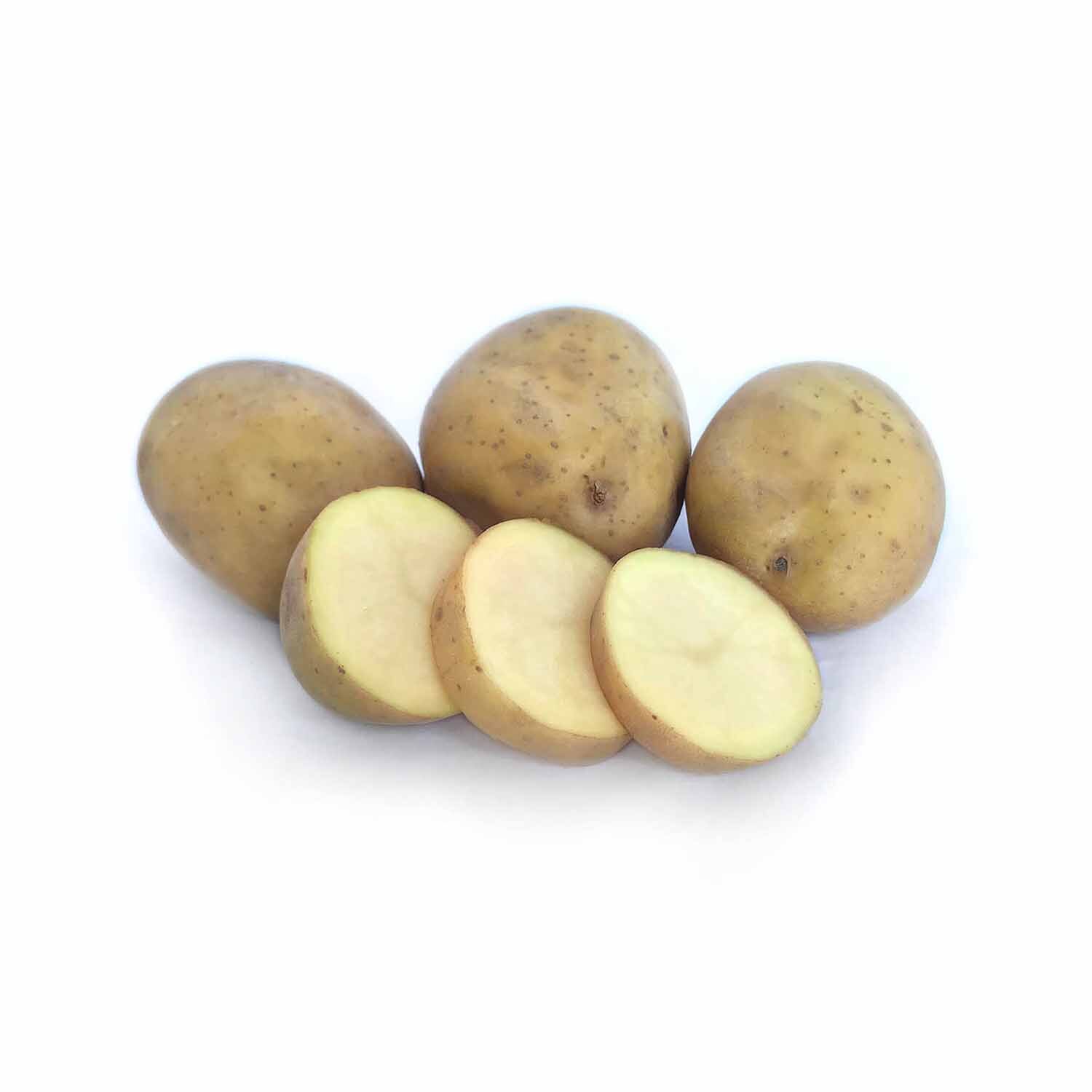 Moonlight Seed Potatoes