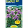 Bearded Iris Pack of 1 Bed Time Story